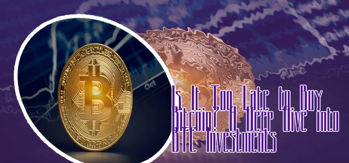 Buys bitcoin its price